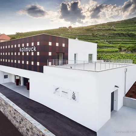 アパート Kalmuck Loft シュピッツ