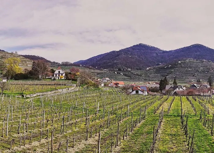 Kalmuck Loft Apartment Spitz an der Donau